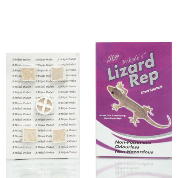 Lizard Rep
