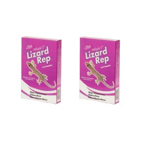 Lizard Rep