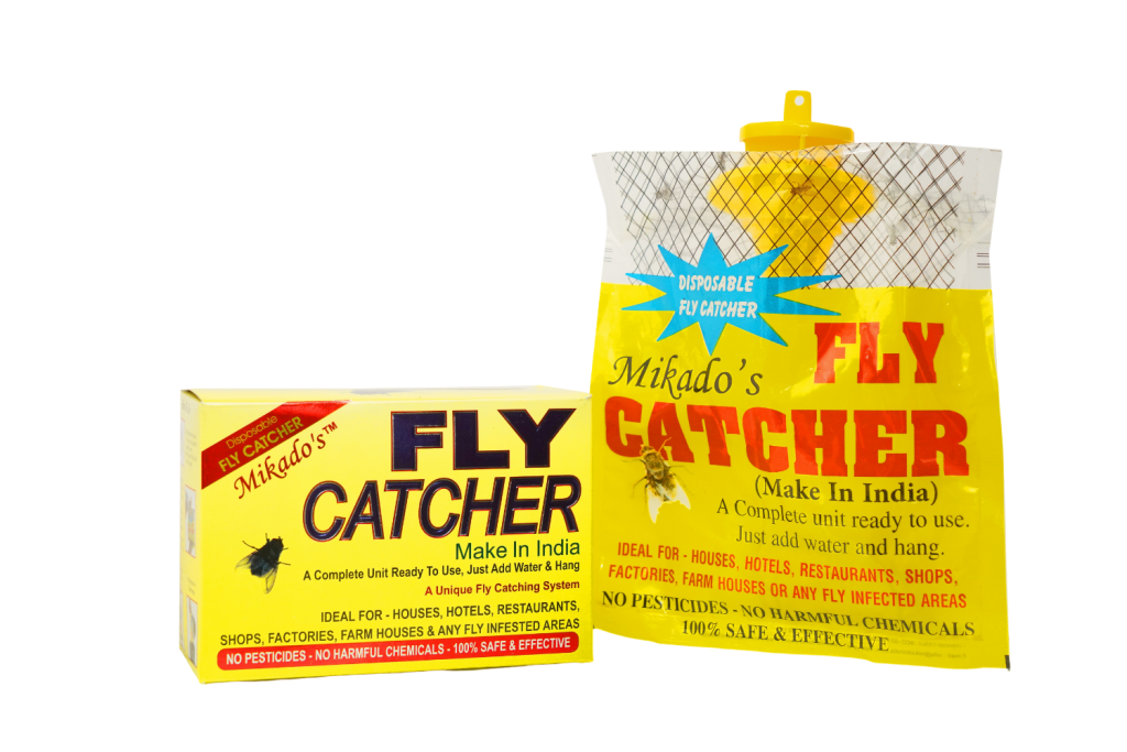Fly Catcher