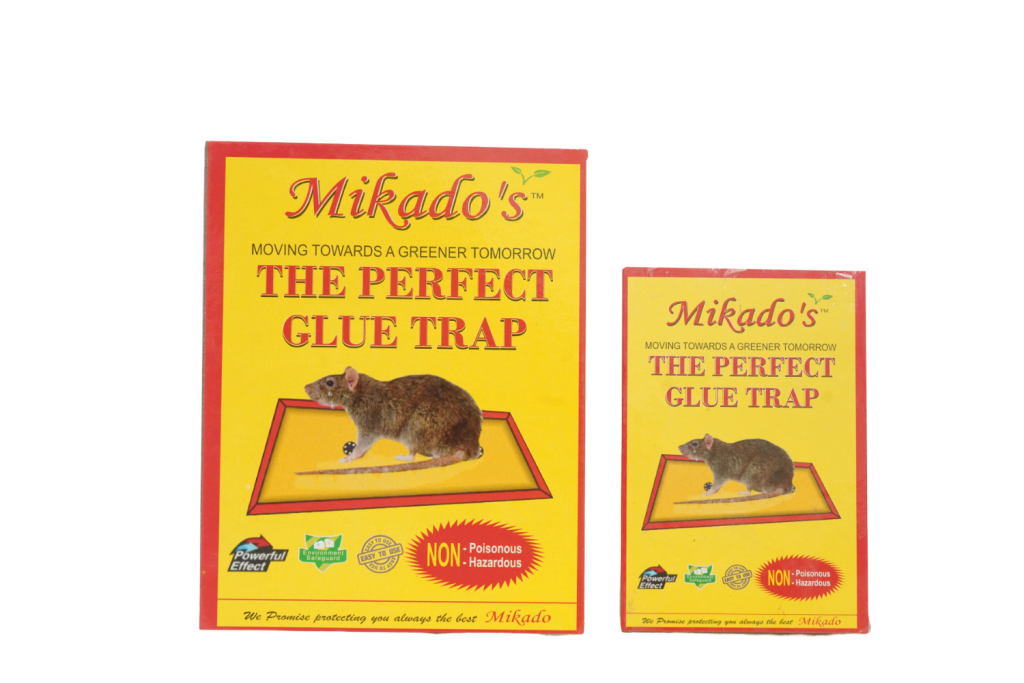 Rat Glue Trap