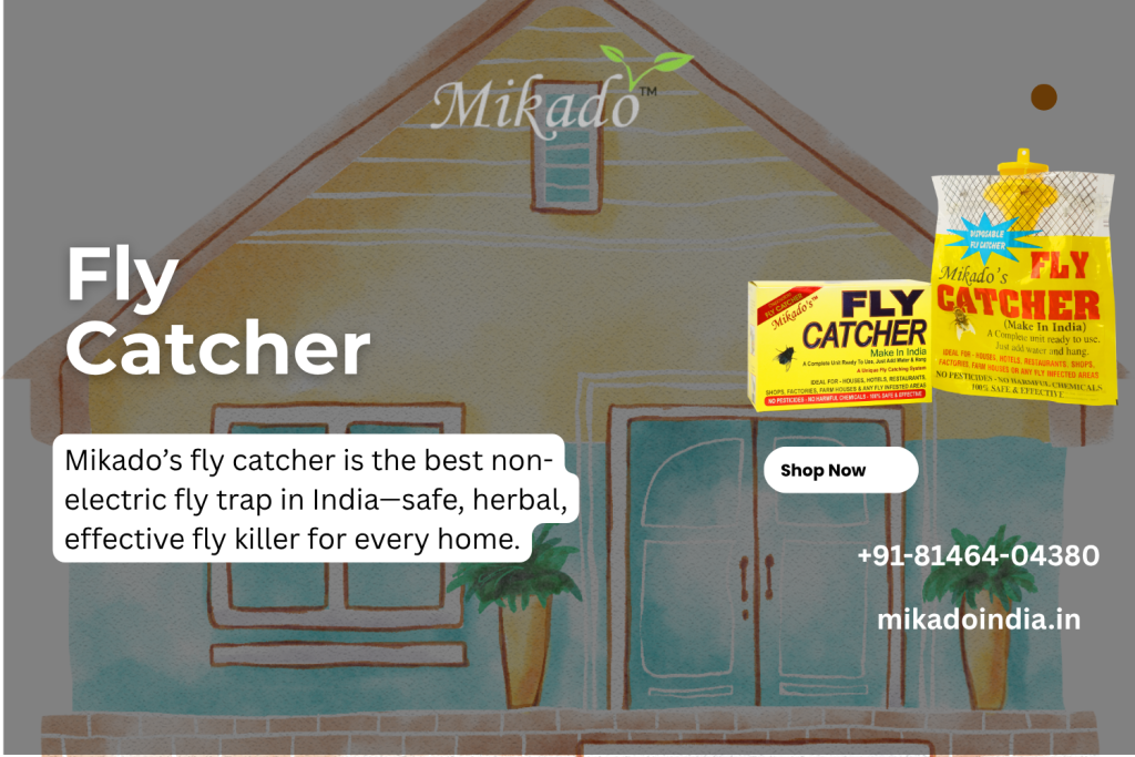 fly catcher