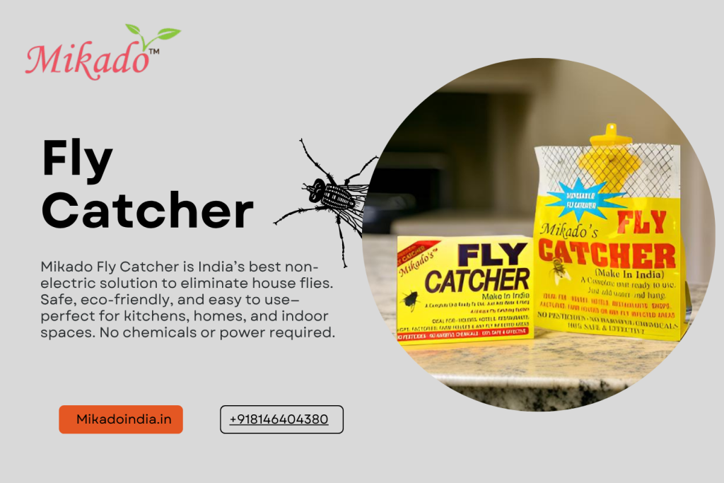Fly Catcher
