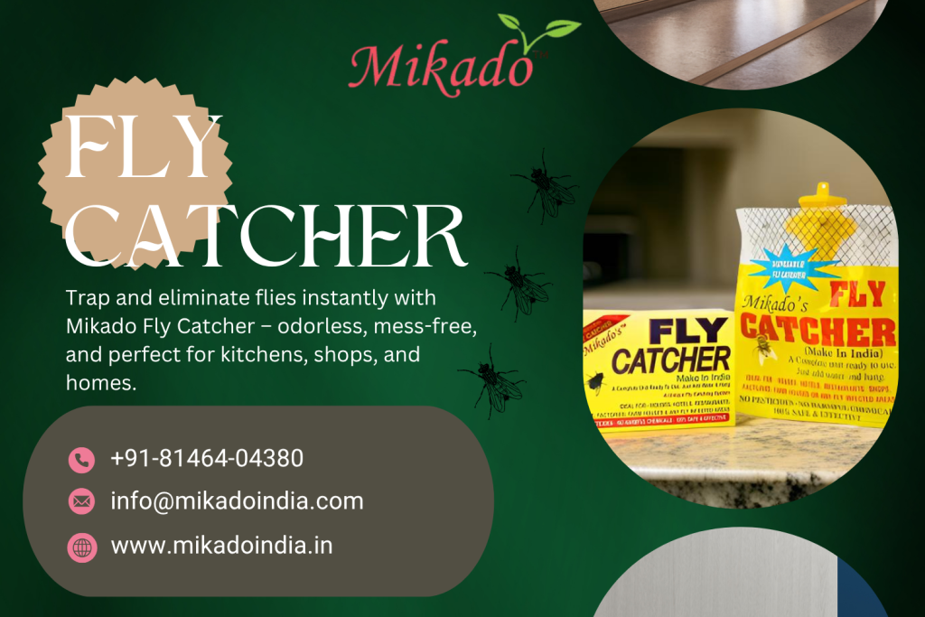 Fly Catcher