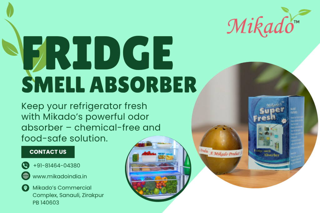 Fridge smell absorber